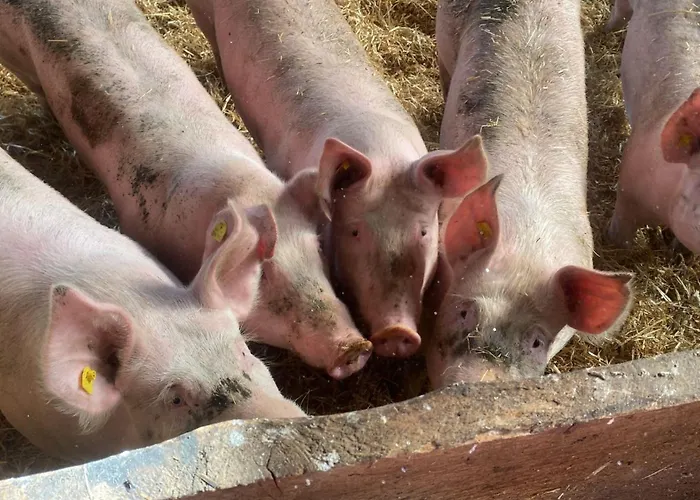 Melissa Apartamento Zellberg